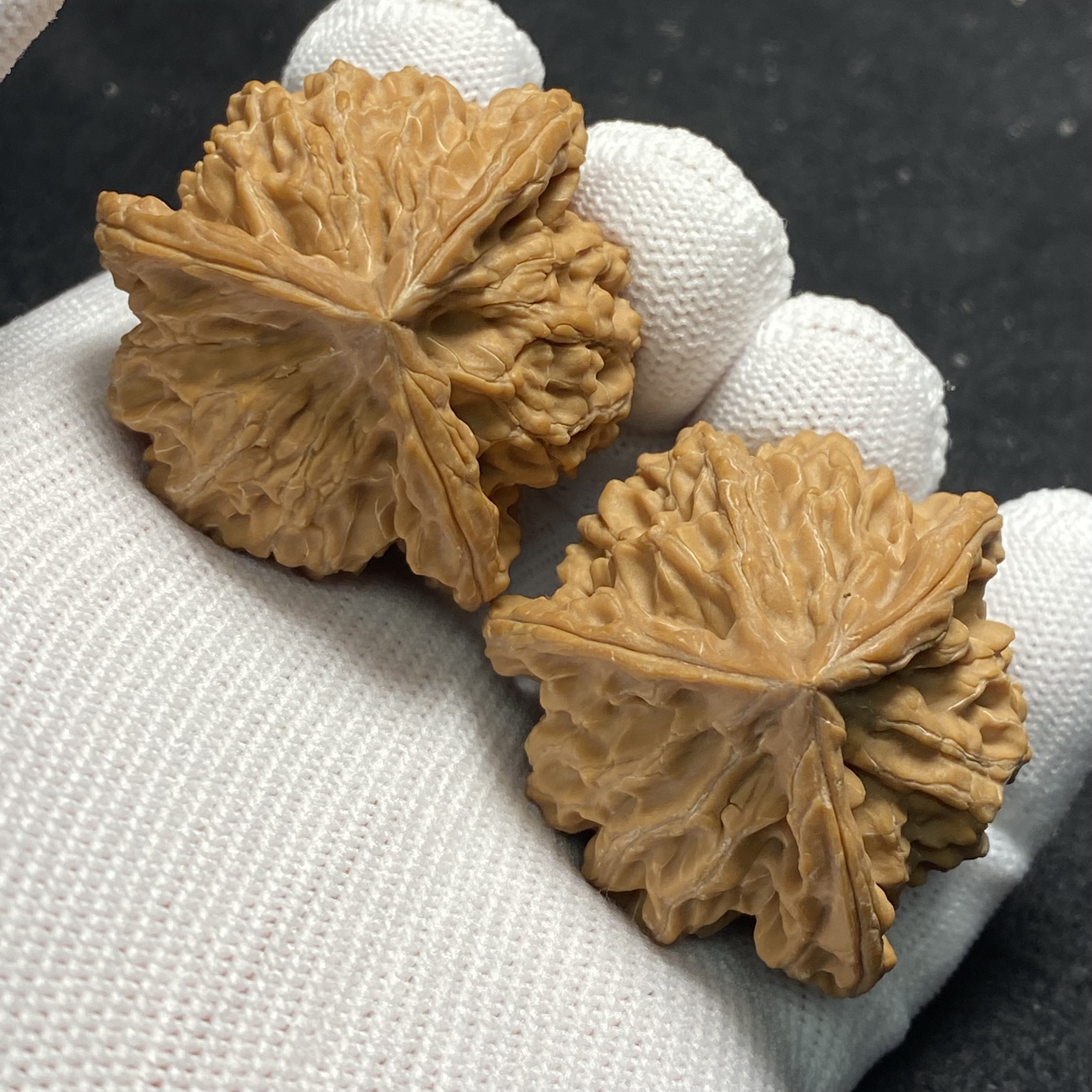 41天然全品盘山三棱核桃（0816）一物一图。边41-40-39高41/42