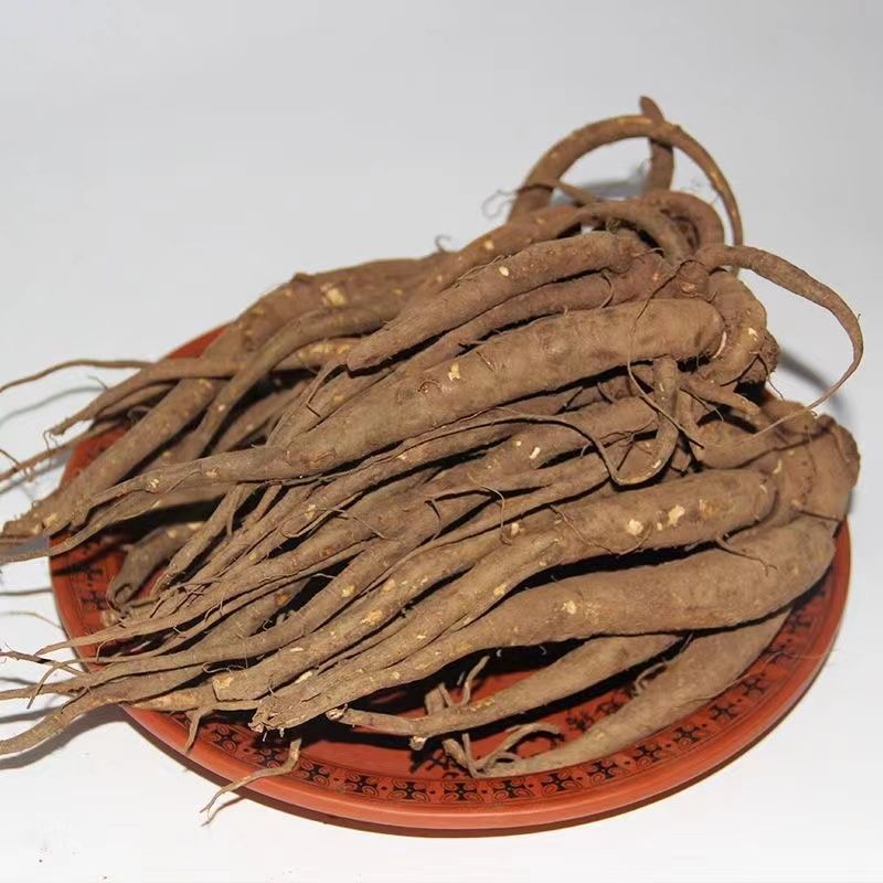 现收农家自挖野生当归