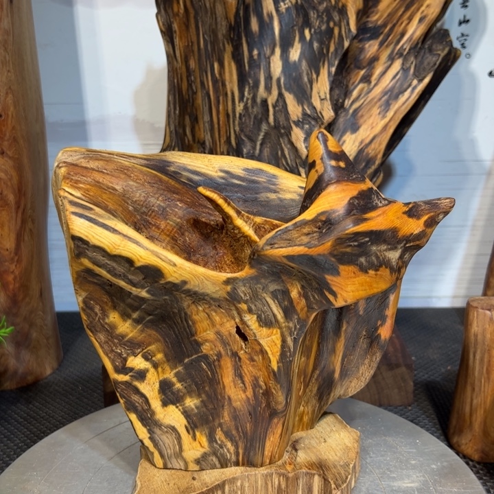 红***宝木直播间有一天自拍