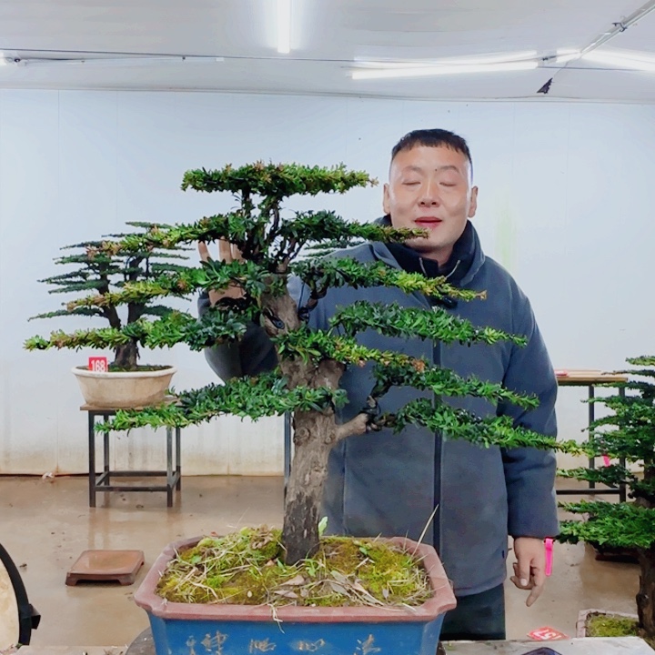 随***时无花朵盆景园林……