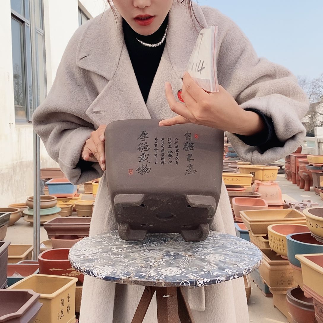 紫砂花盆紫砂花盆