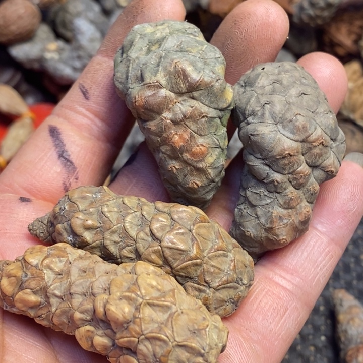 文玩核桃吊坠东北特产85