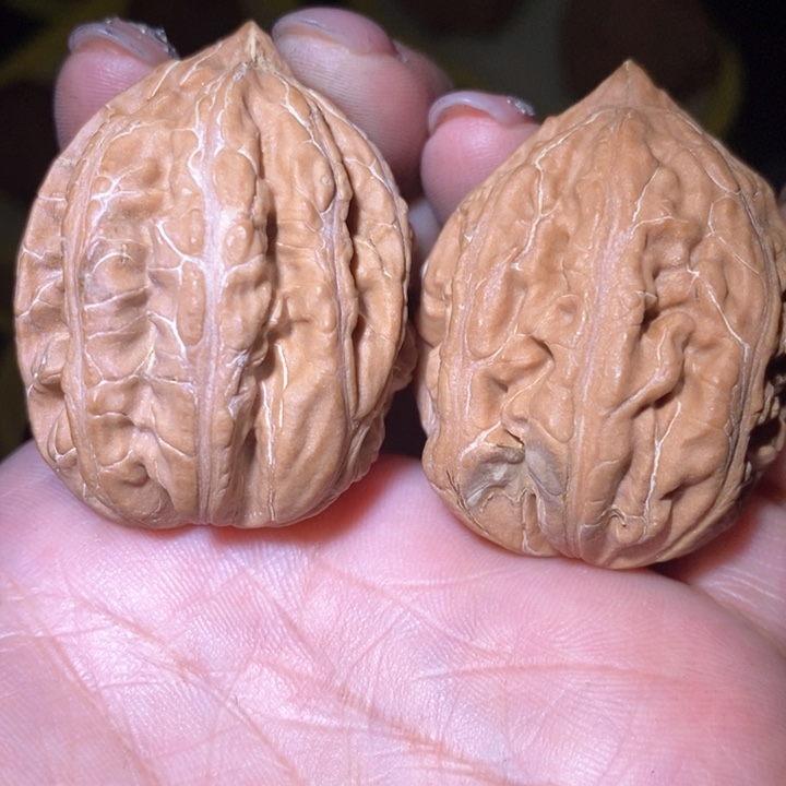 文玩核桃把件东北野生楸子小美1 47