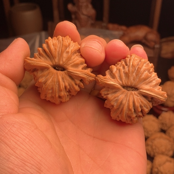 文玩核桃吊坠小***啦楼子