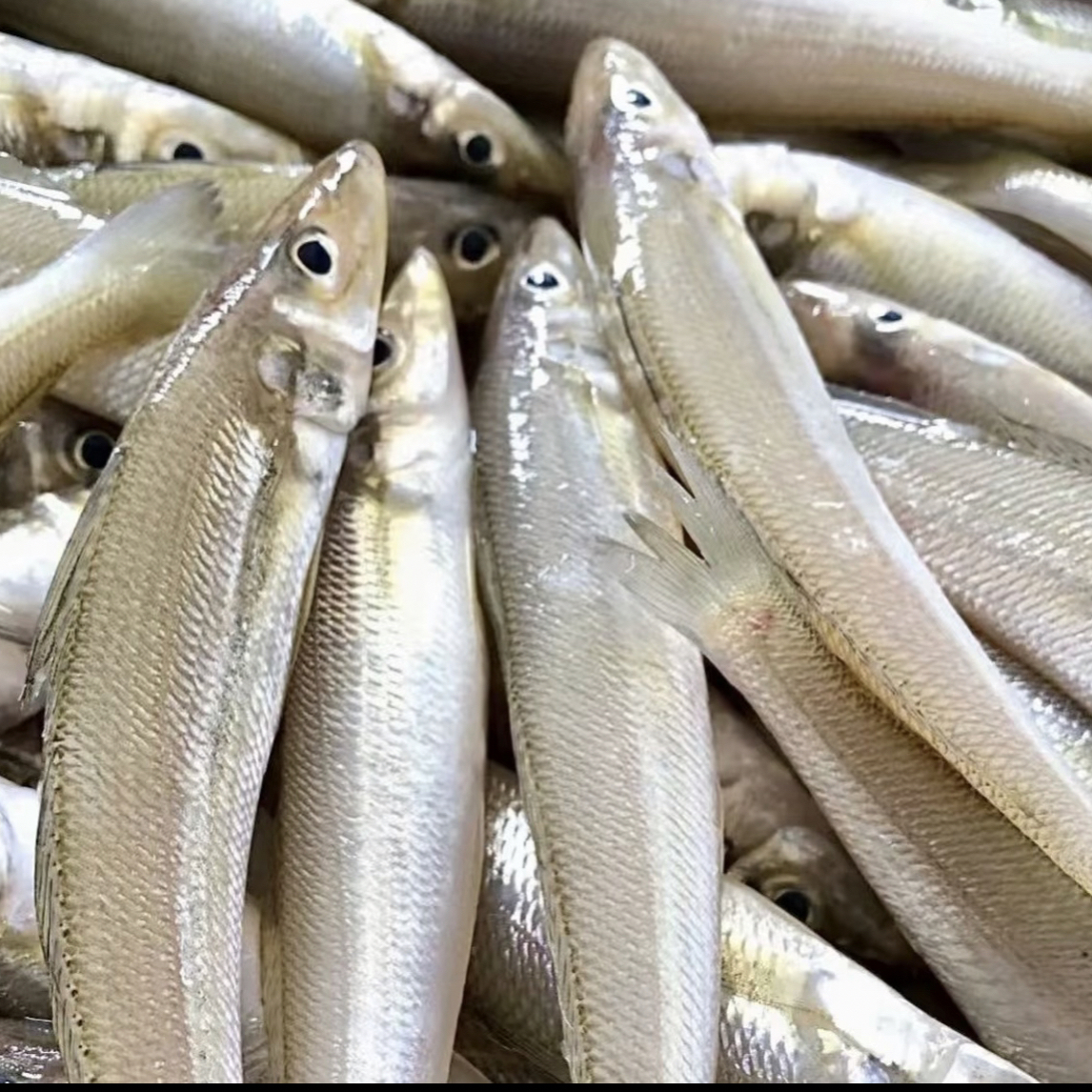 神泉港 沙丁鱼沙尖鱼 香煎椒盐 帮杀省内包邮