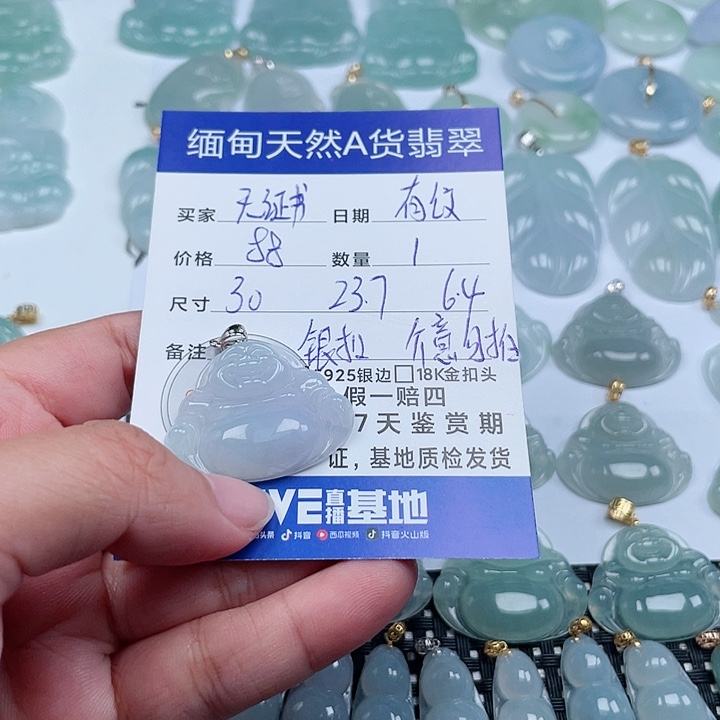 翡翠颈饰银S925镶嵌天然翡翠吊坠