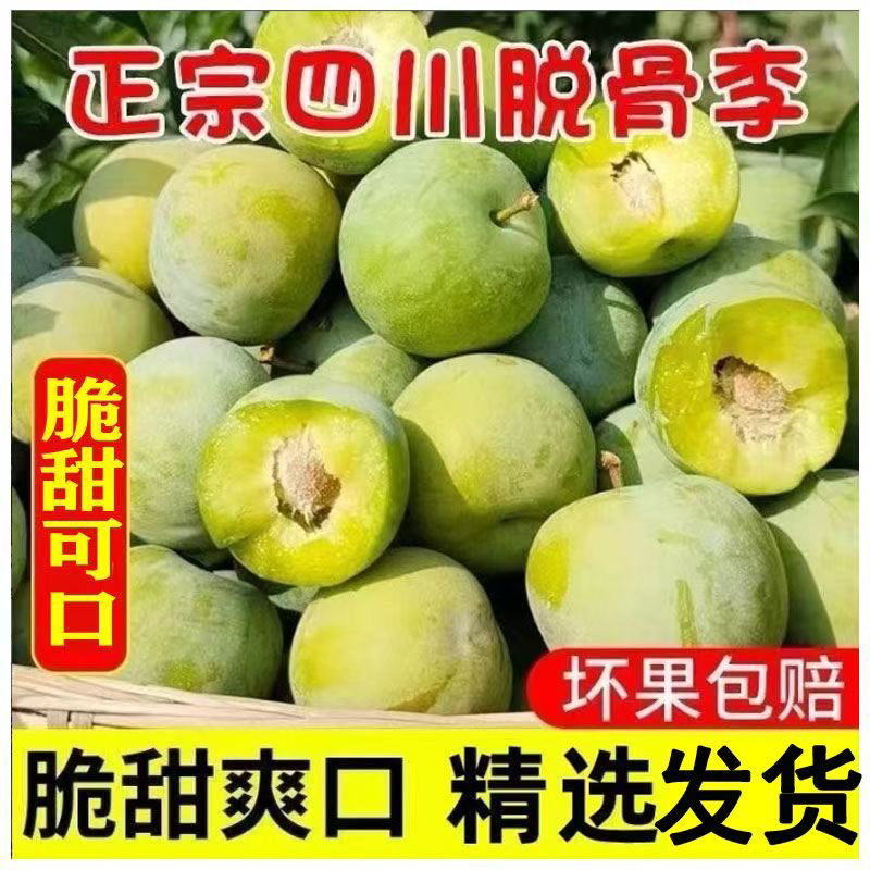 正宗青脆李新鲜应季四川特产青脆脱骨李5斤包邮