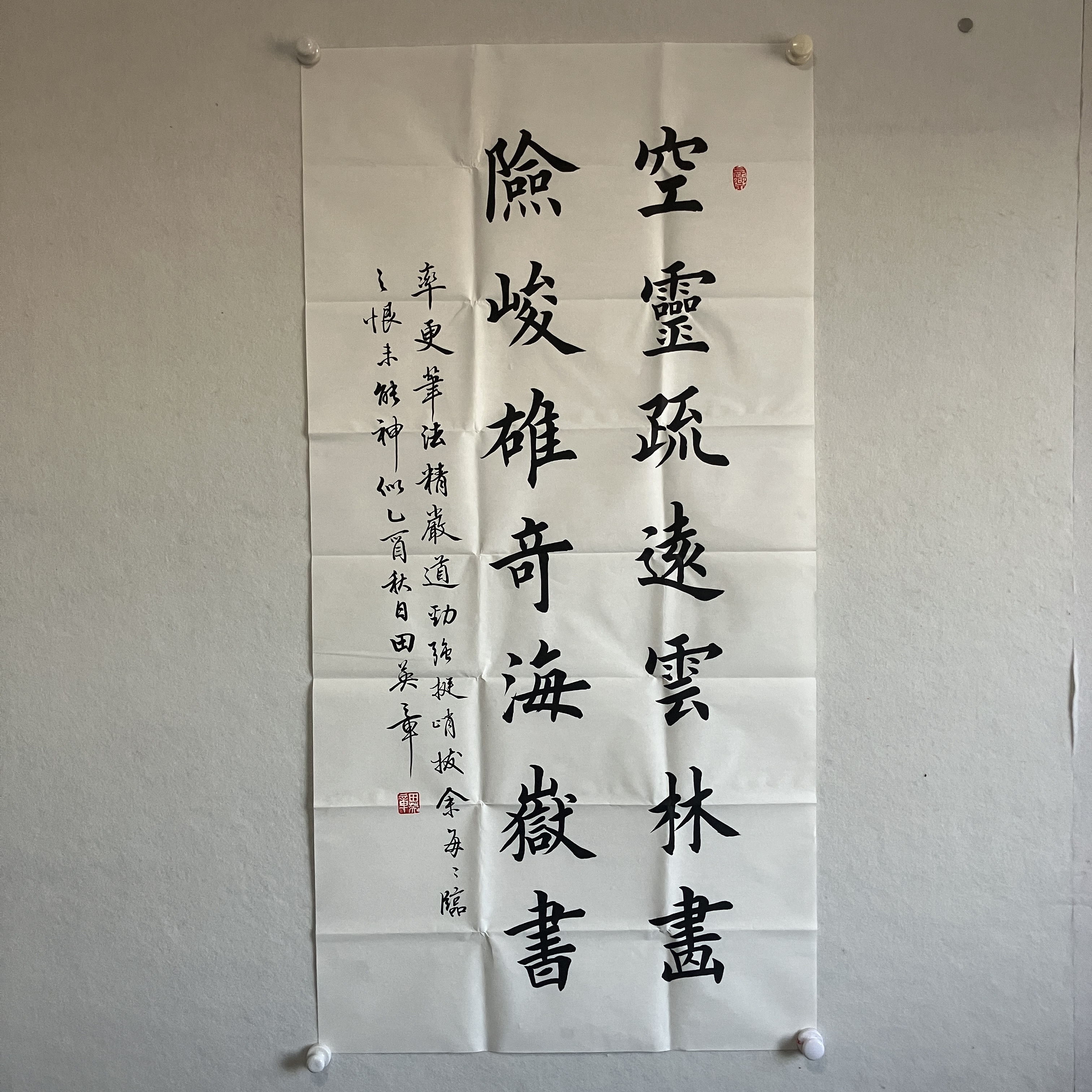 5665田英章 书法 纸本水墨 带画册138×69cm