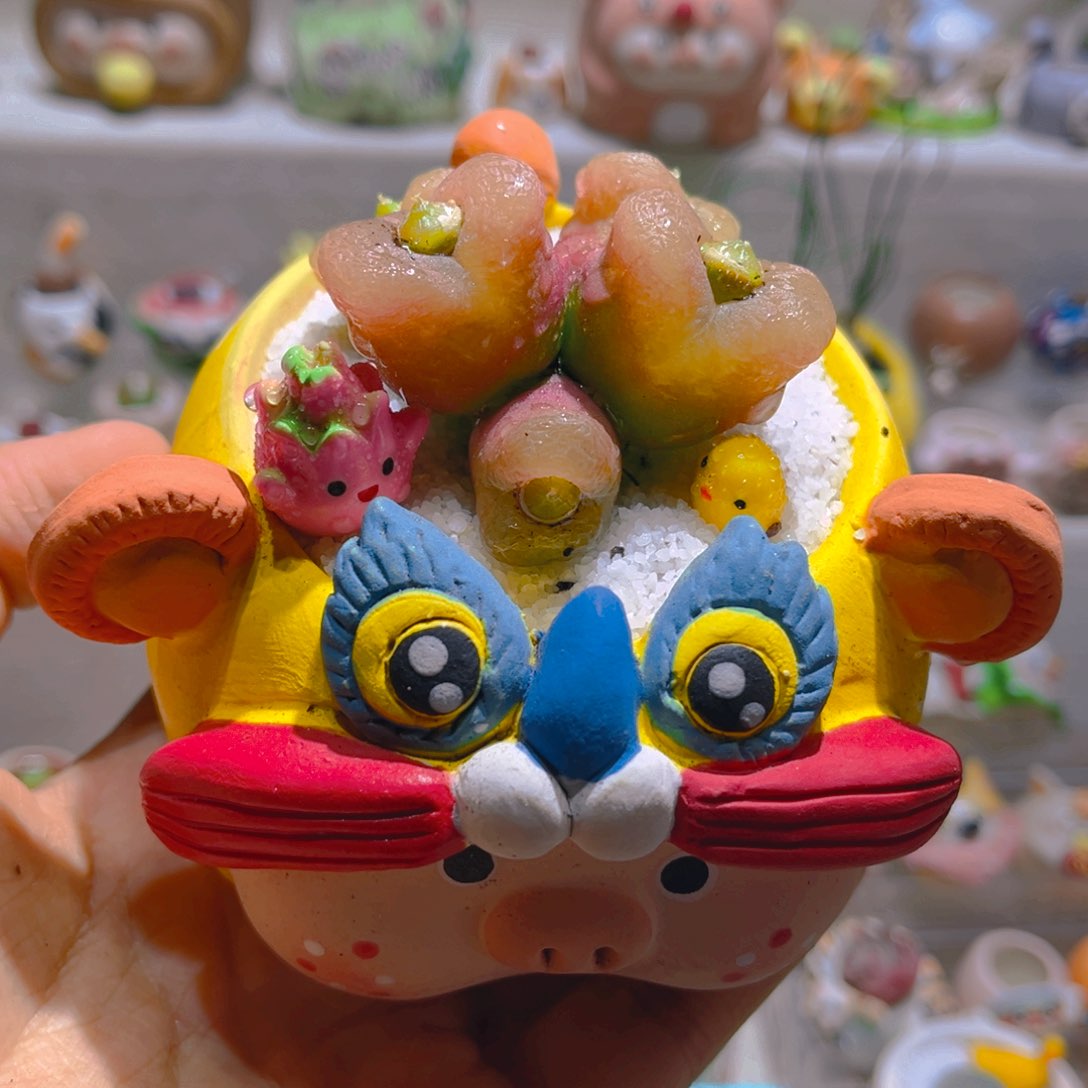 037五头毛汉尼带盆土一套98