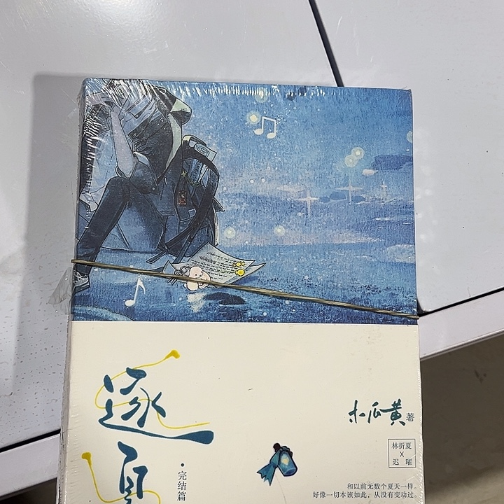 逐夏全新全套两本带周边