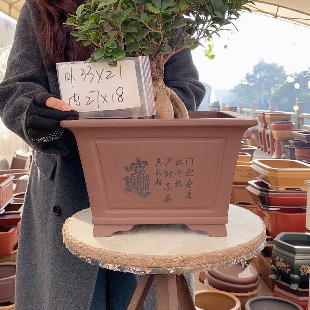 花盆紫砂紫砂花盆