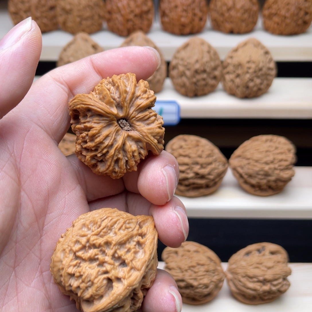 文玩核桃把件涿鹿