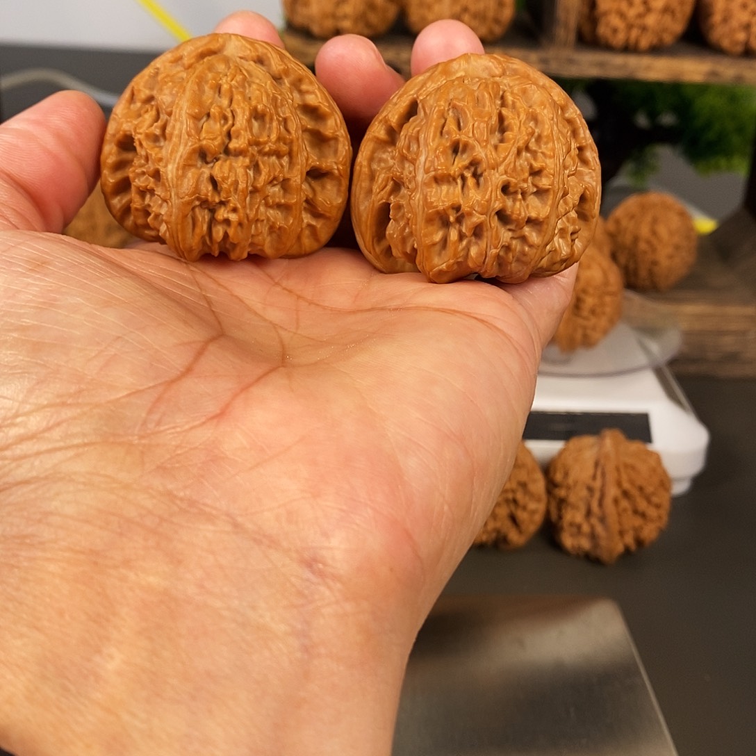 文玩核桃把件红皮老树白狮子骨质超棒