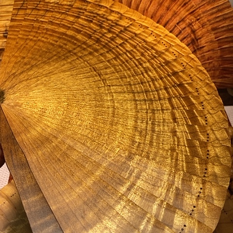 楠木（金丝楠）其他