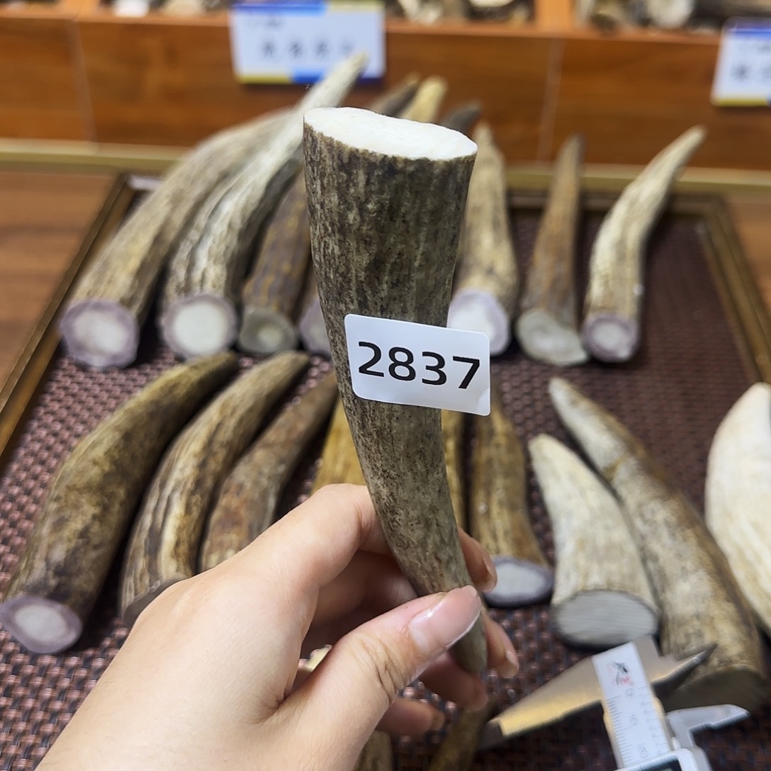 鹿骨手串/手链角尖2837