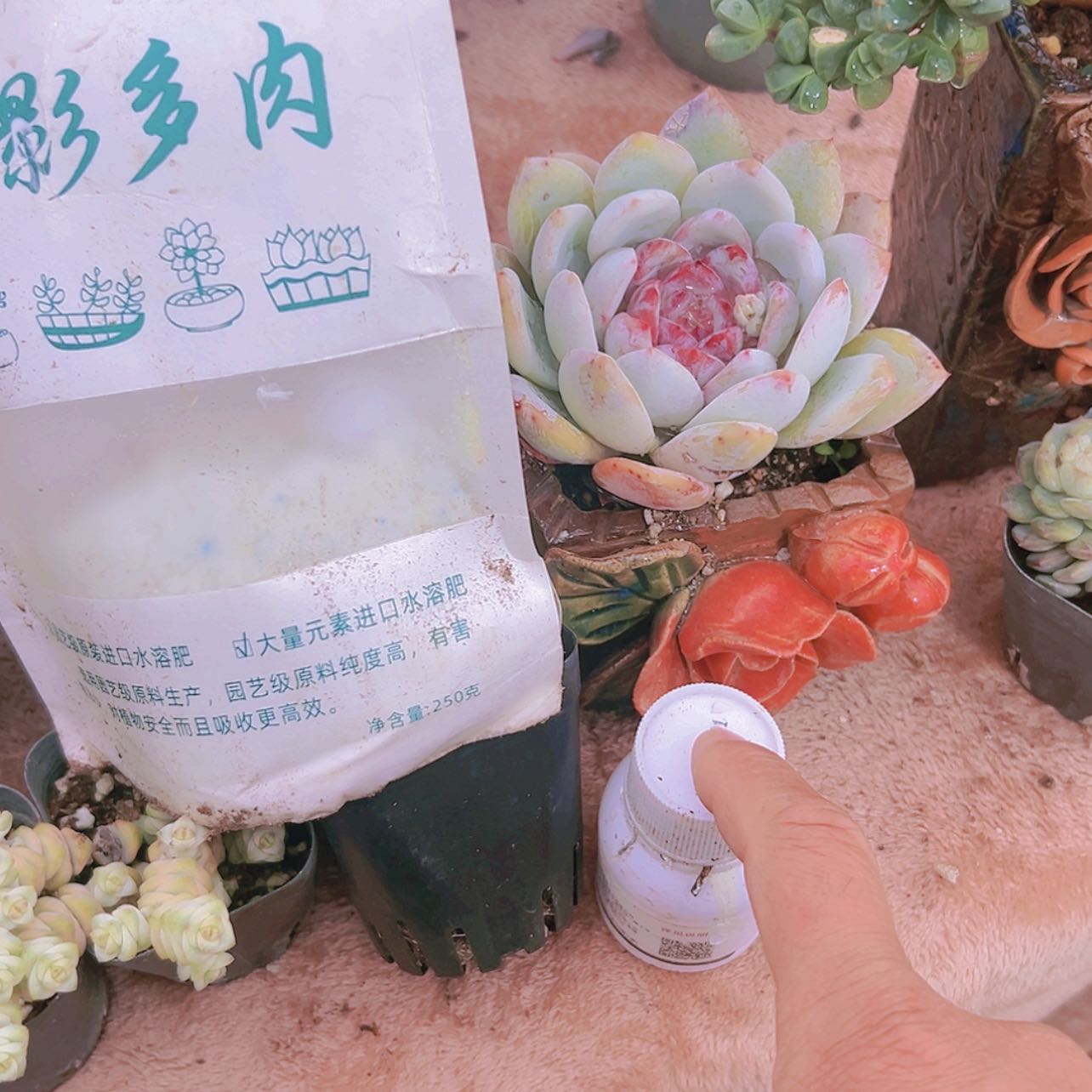 【闪购商品】营养水溶分加夸杀菌