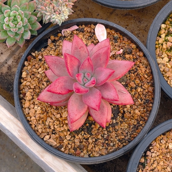 11111111111111111111111111