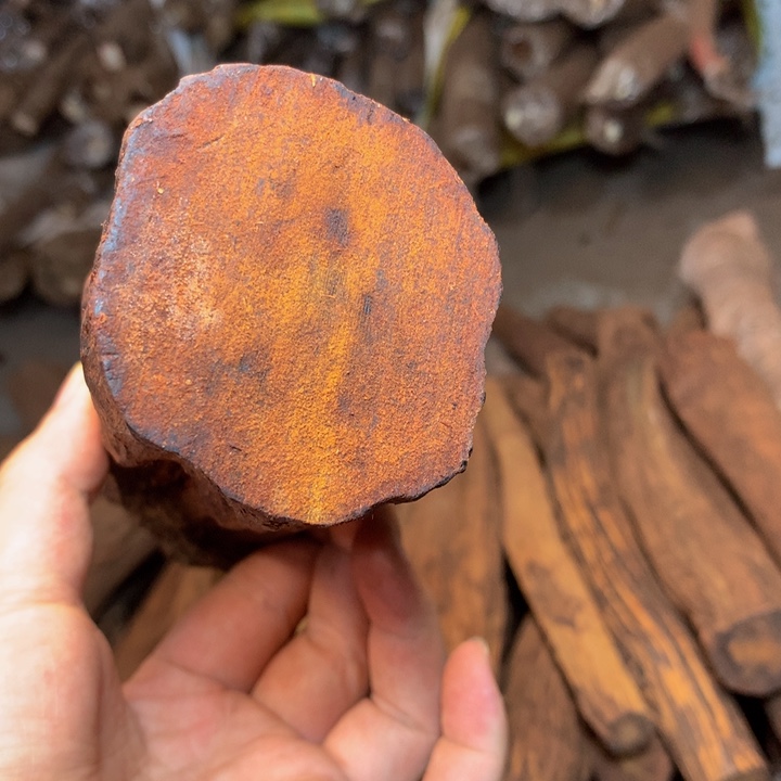 贝壳音*会降真香原料定制做串