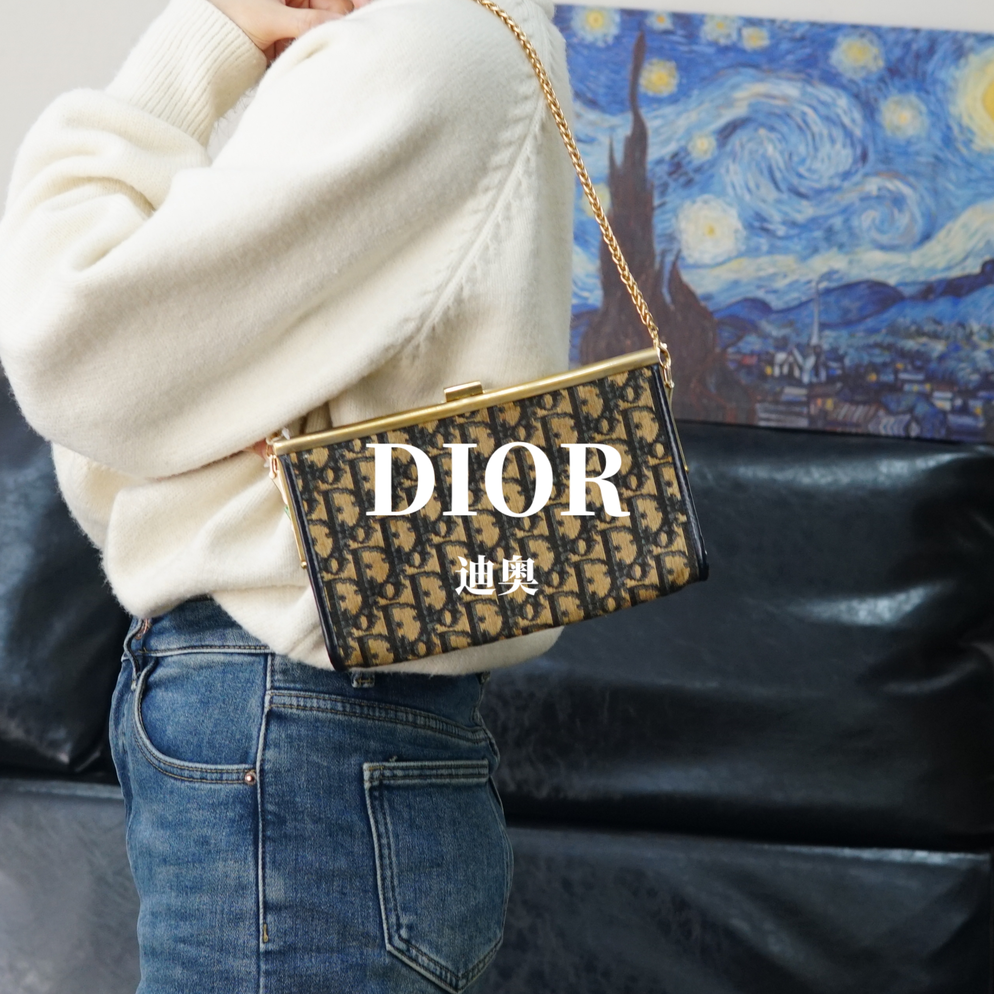 95新 DIOR/迪奥 老花单肩包/JJ01107301/7301