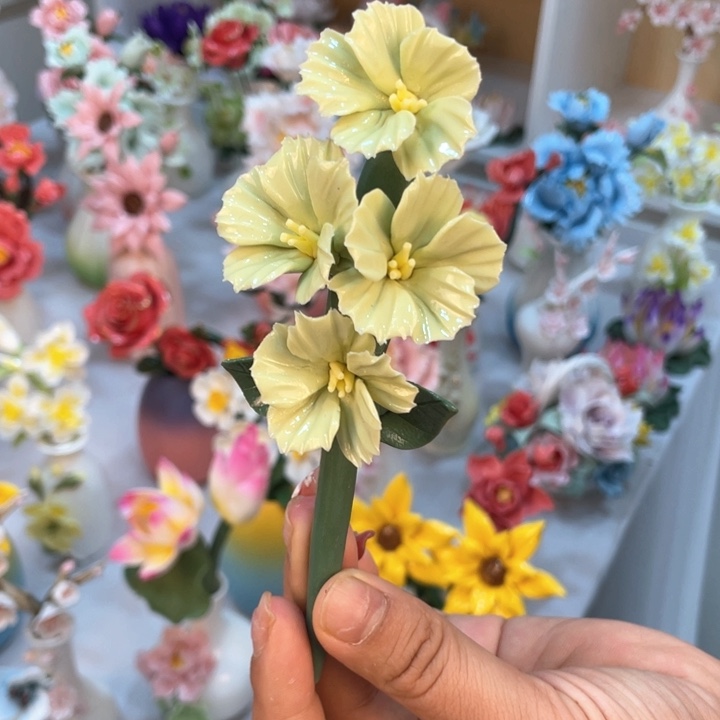 瓷片886666666665556666665555