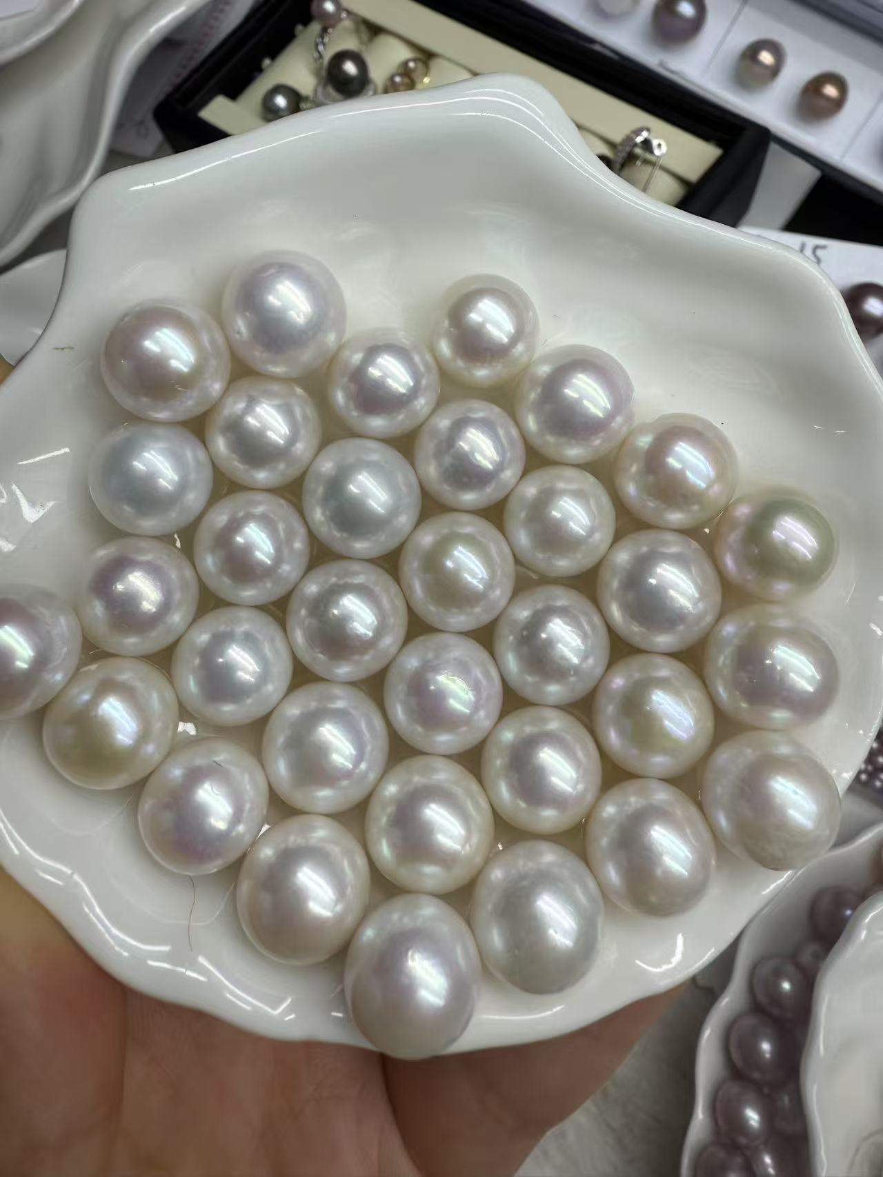 白亮亮大白白（开到圆为止）可手工DIY，不退换