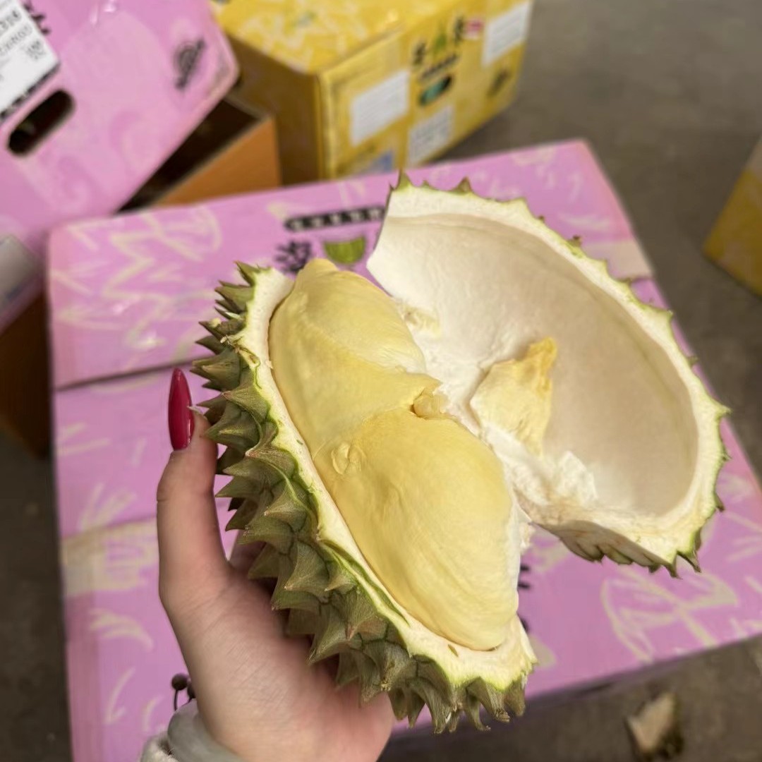 【圣泰】空运泰国树熟金枕榴莲 3斤-8斤 鲜榴莲金枕 核小榴莲