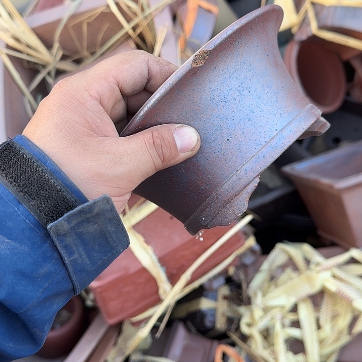 一天只喝一点奶茶和酸奶我也要笑出来我