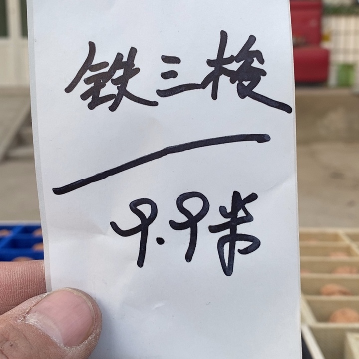 吊坠文玩核桃福利