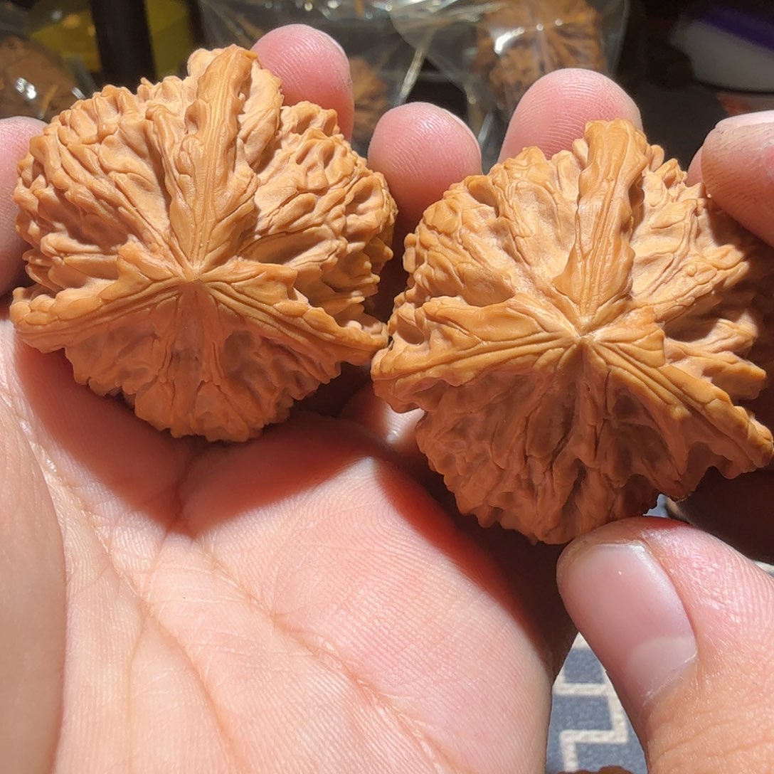 文玩核桃把件天****链御龙正奔