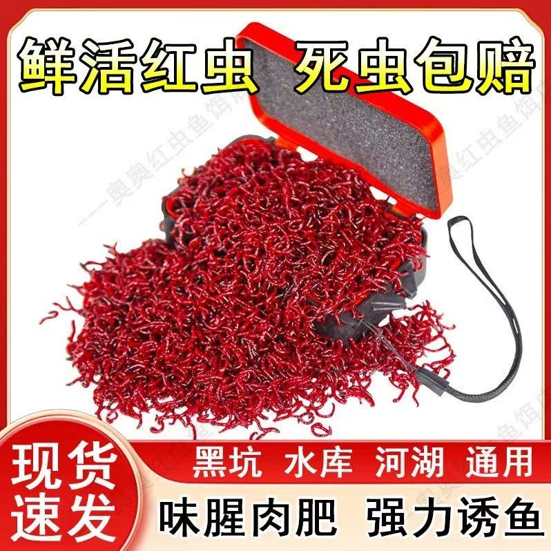【批发专用】鲜活红虫六角恐龙蝾螈金鱼罗汉鱼乌龟斗鱼鱼食活体饵料