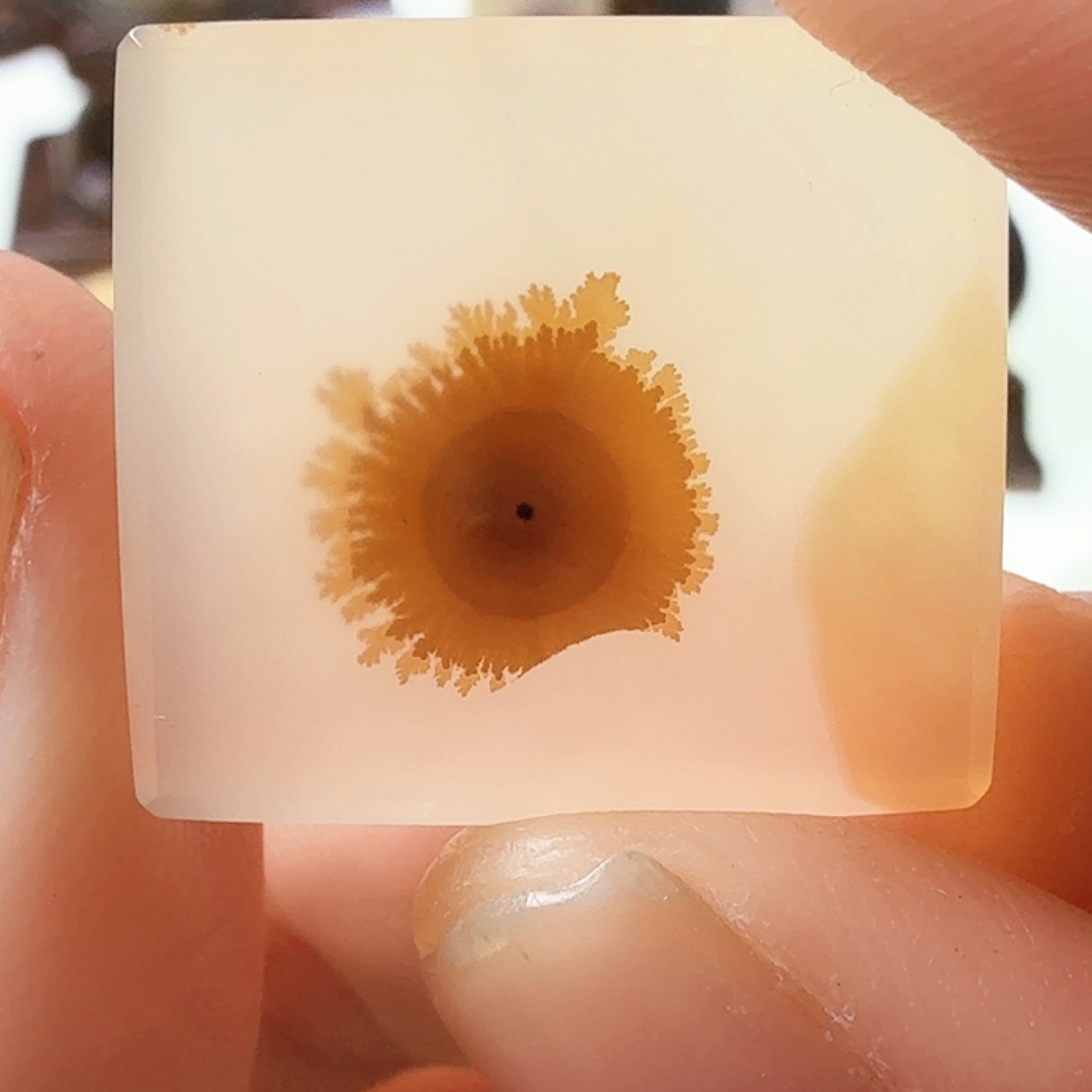 玛瑙/玉髓未镶嵌珠宝半成品