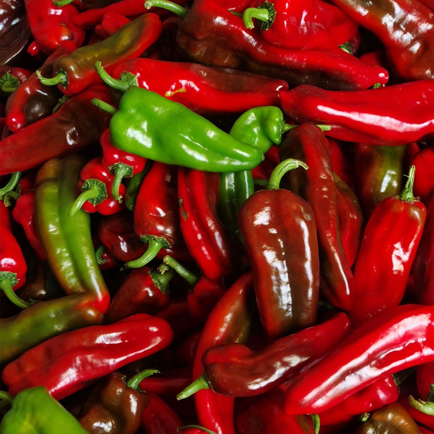 新鲜花辣椒微辣红辣椒虎皮椒牛角椒青红绿紫辣椒混装皮薄肉厚大椒