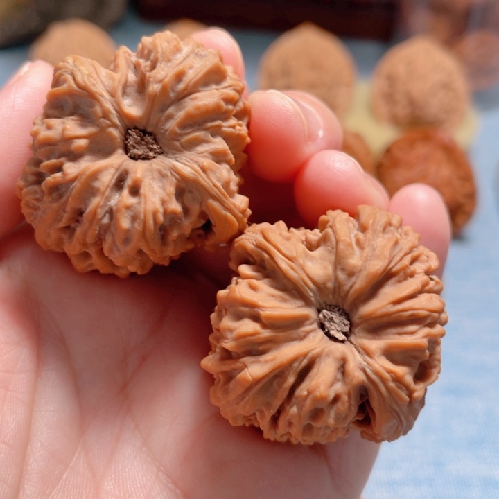 吃***蒜36尺寸南疆石骨质棒