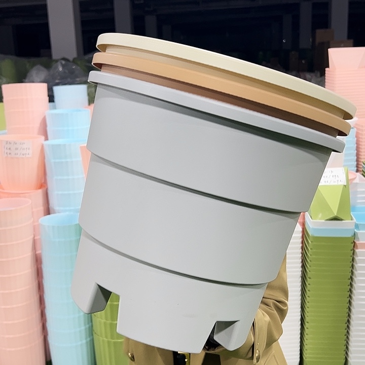 正品蓝莓盆口39高33白色无托3个