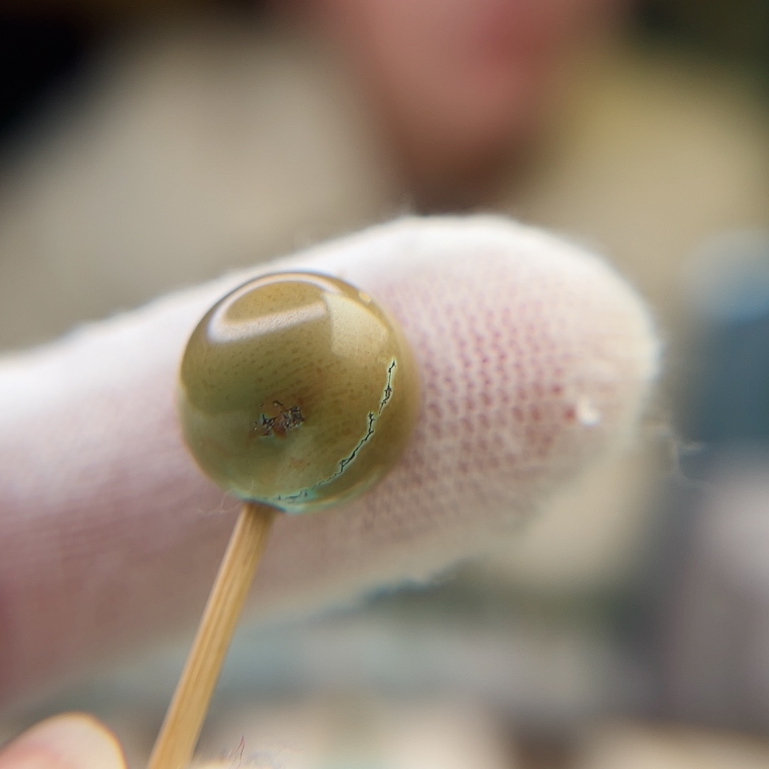 绿松石珠宝奇石未镶嵌12.8