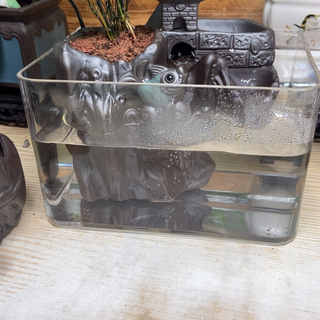 瓷片陶瓷花盆陶瓷艺术