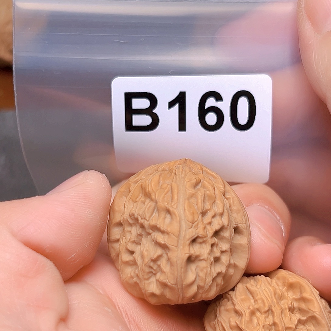 文玩核桃吊坠32➕白狮子