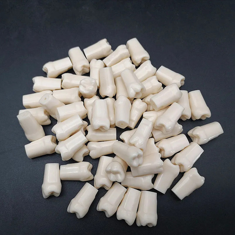 牙医预备备牙牙粒牙科树脂仿真离体树脂牙齿科仿真树脂牙备洞牙粒