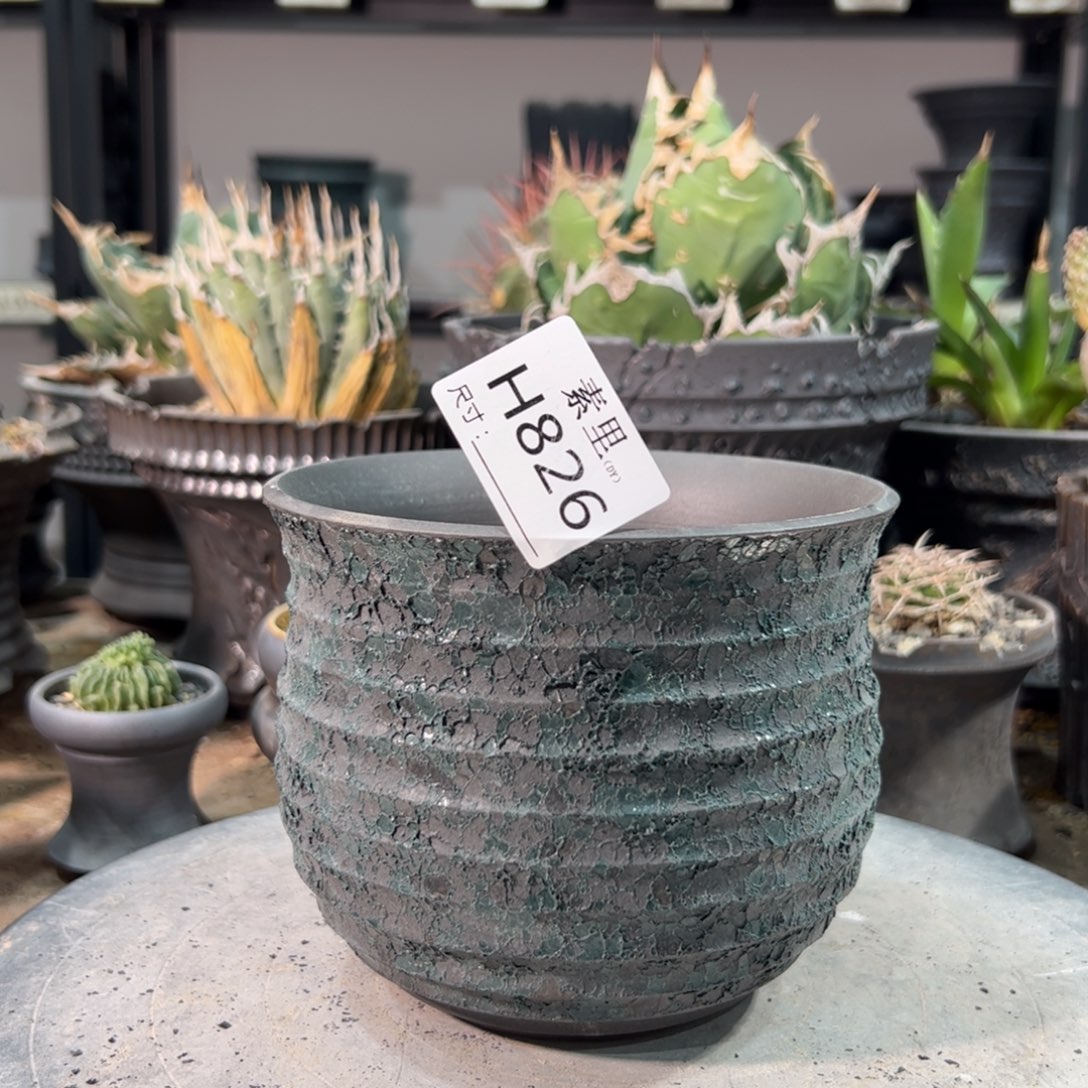 景德镇手工素里内口13.5高11.5