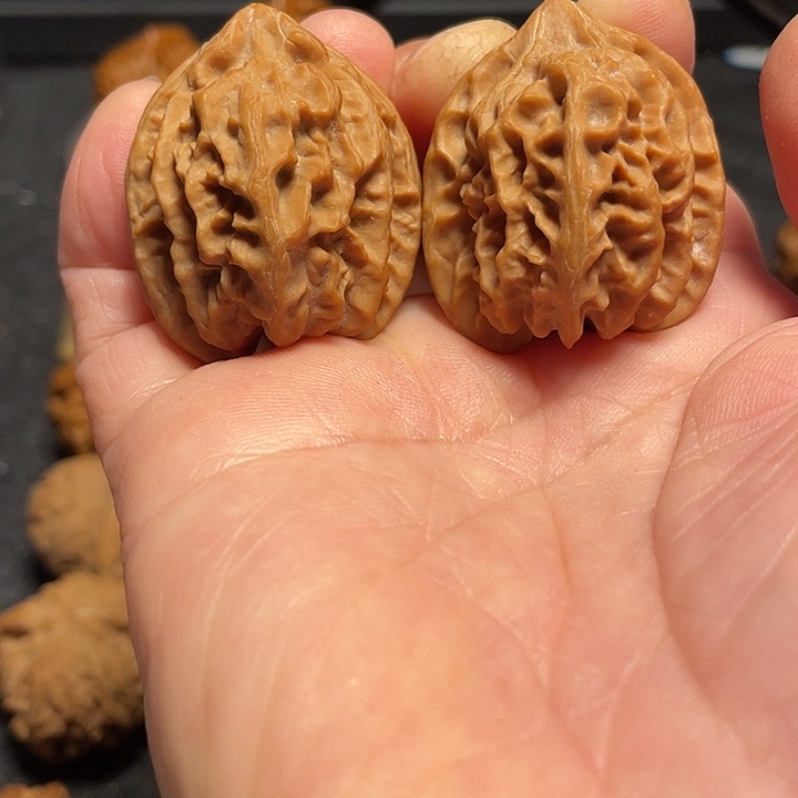 ****༣文玩核桃把件曹大龙