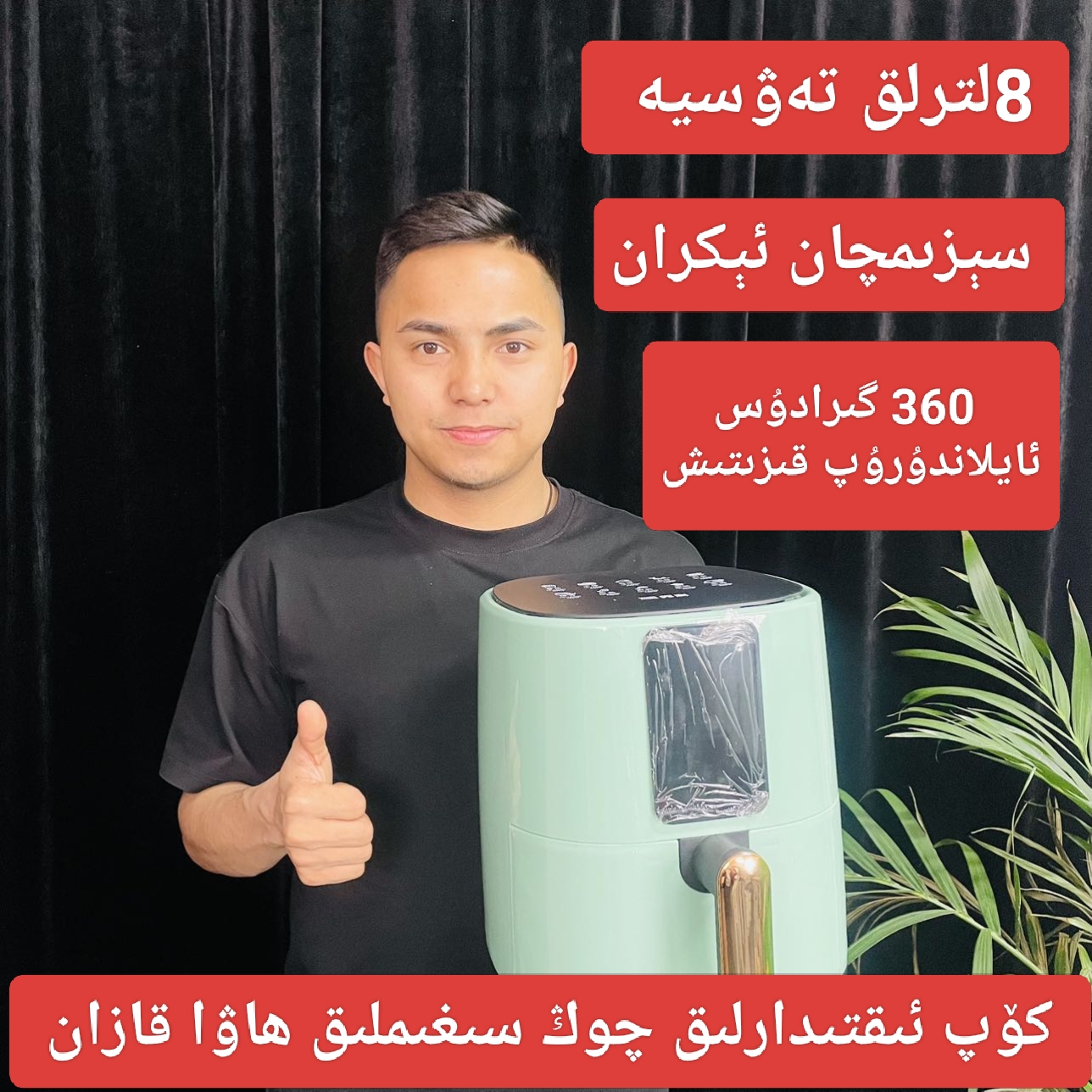 新疆包邮油炸锅全疆包邮电炸锅热销热卖家用空气炸锅