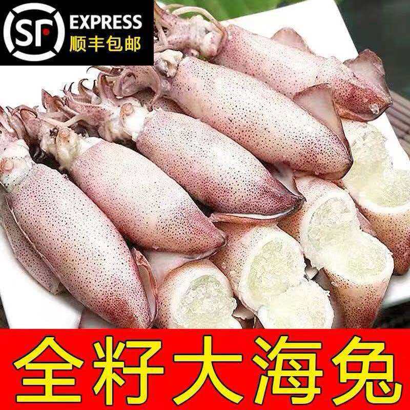 苏北老家味道特大籽乌顺丰发货（送一斤扇贝肉）