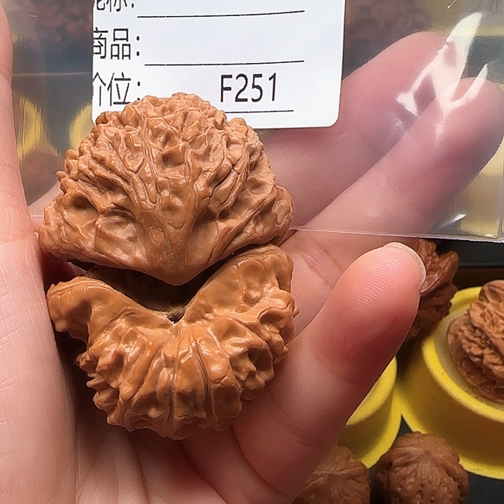 老***筝木质类长勾蛇王43