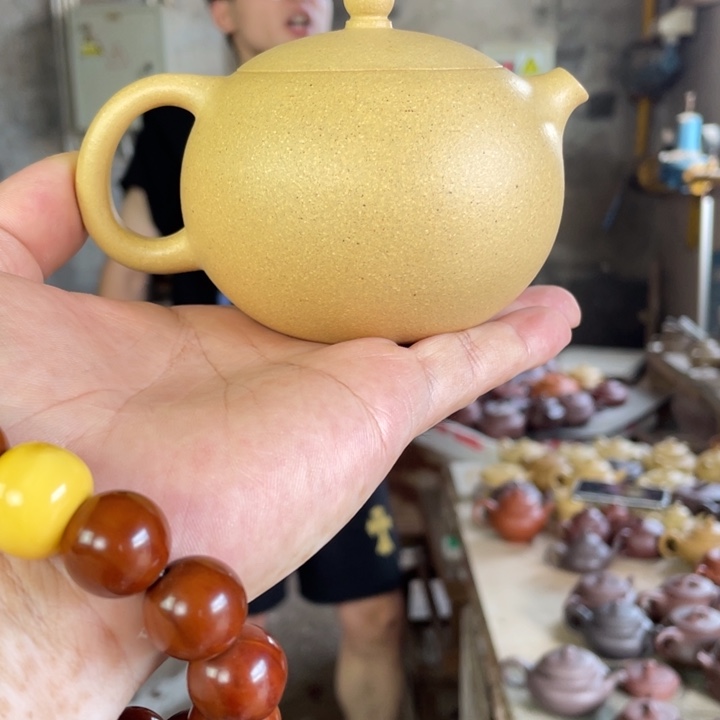 紫砂紫砂西施。本绿（微暇