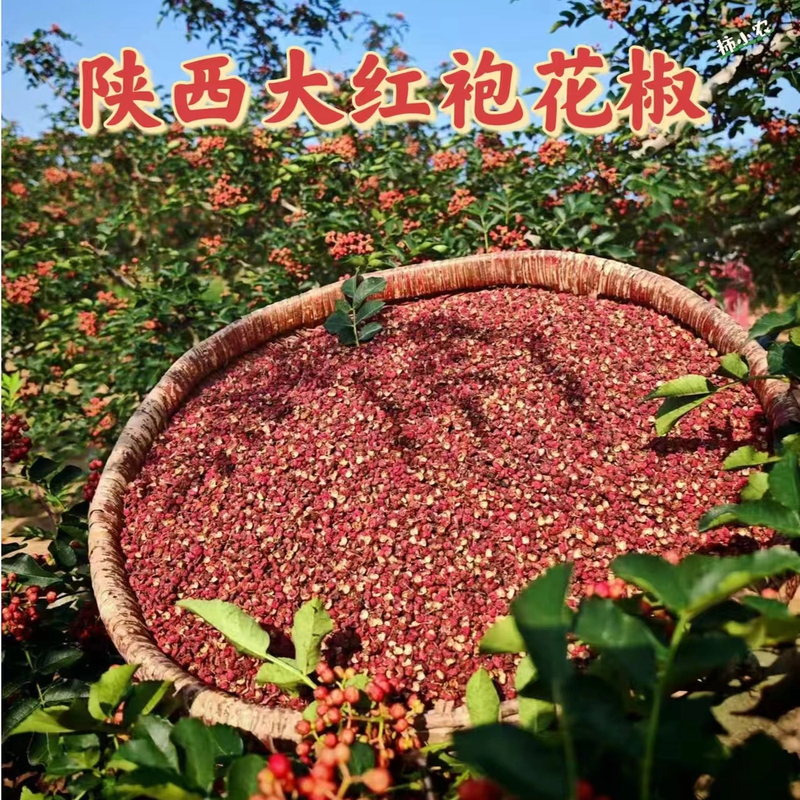 2024年陕西富平大红袍干花椒100克250克厨房调味品鲜香去腥增香