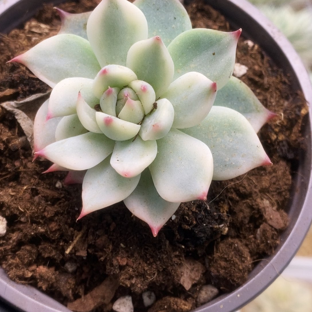 100锦锦锦锦锦锦锦锦锦