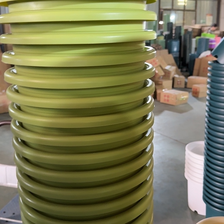 四季6号果绿无托7个特价微瑕