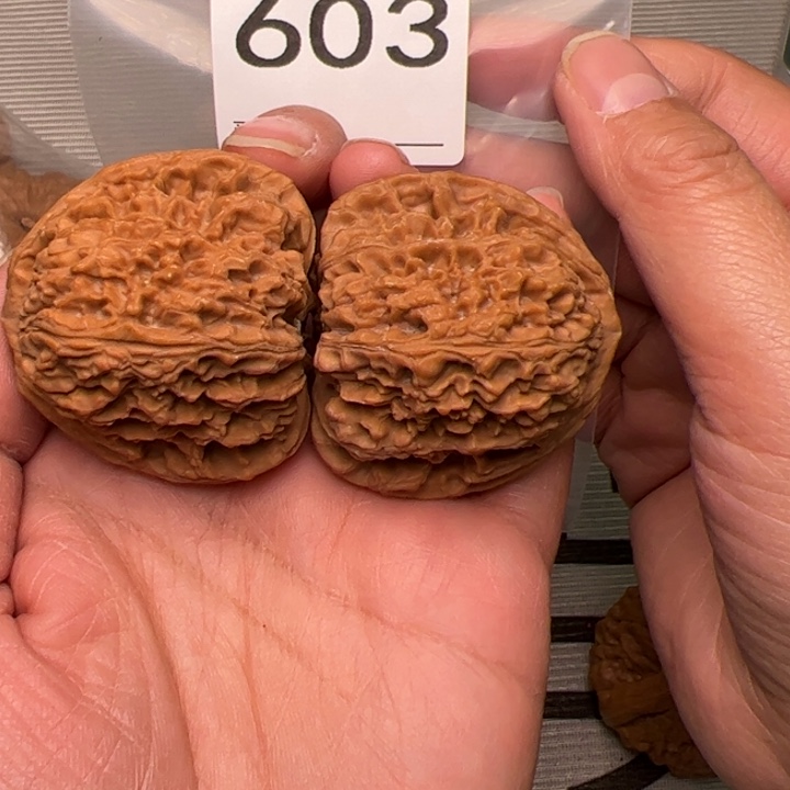 核桃全品44尺三角疆603号