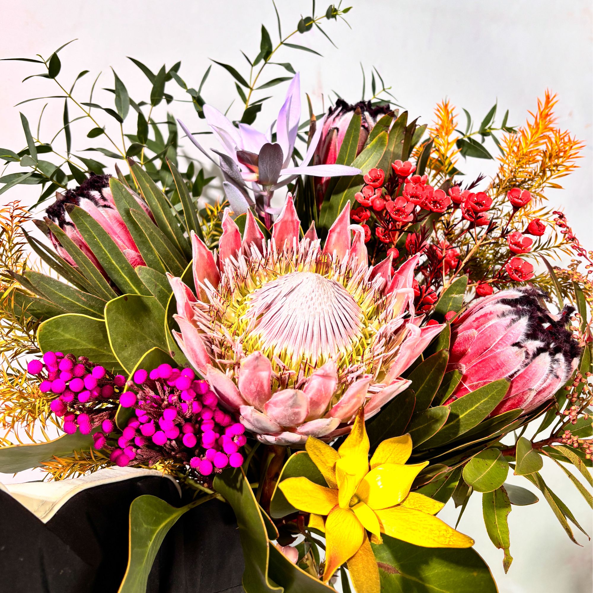 【繁花似锦】南非进口帝王花红宝石公主组合鲜花花束 顺丰包邮  