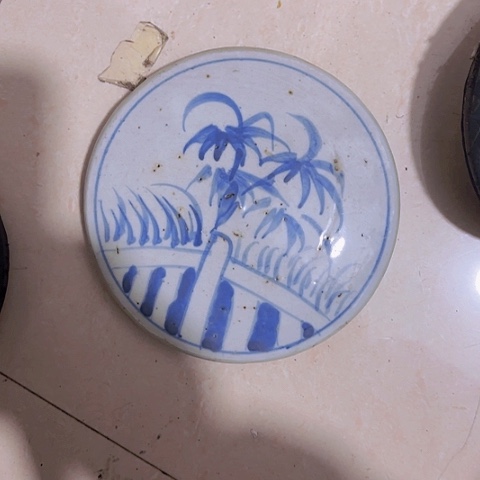 香榧木?***云Fhfjvjvhbvbvv